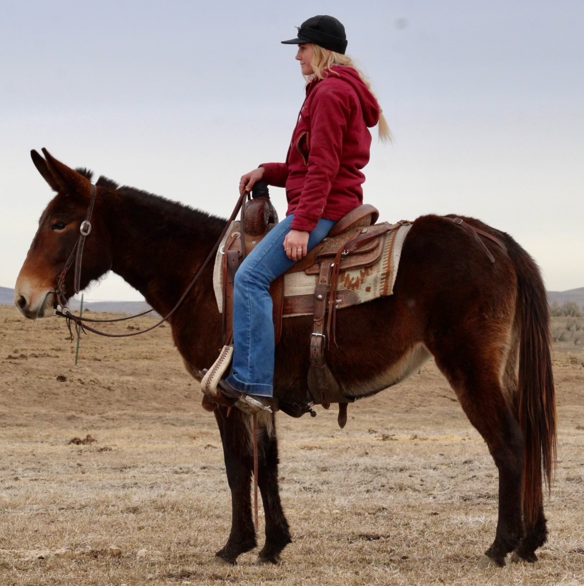 LOT 092 PABLO Salmon Select Sale