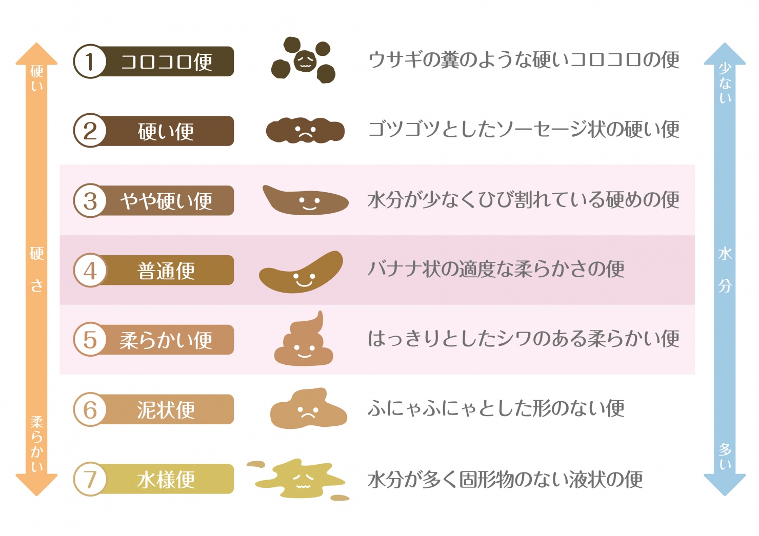 うんちはお腹からのお便り CREA