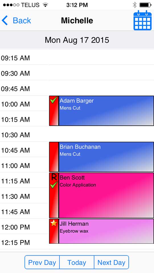 Insight Software Appointment Book Insight Software