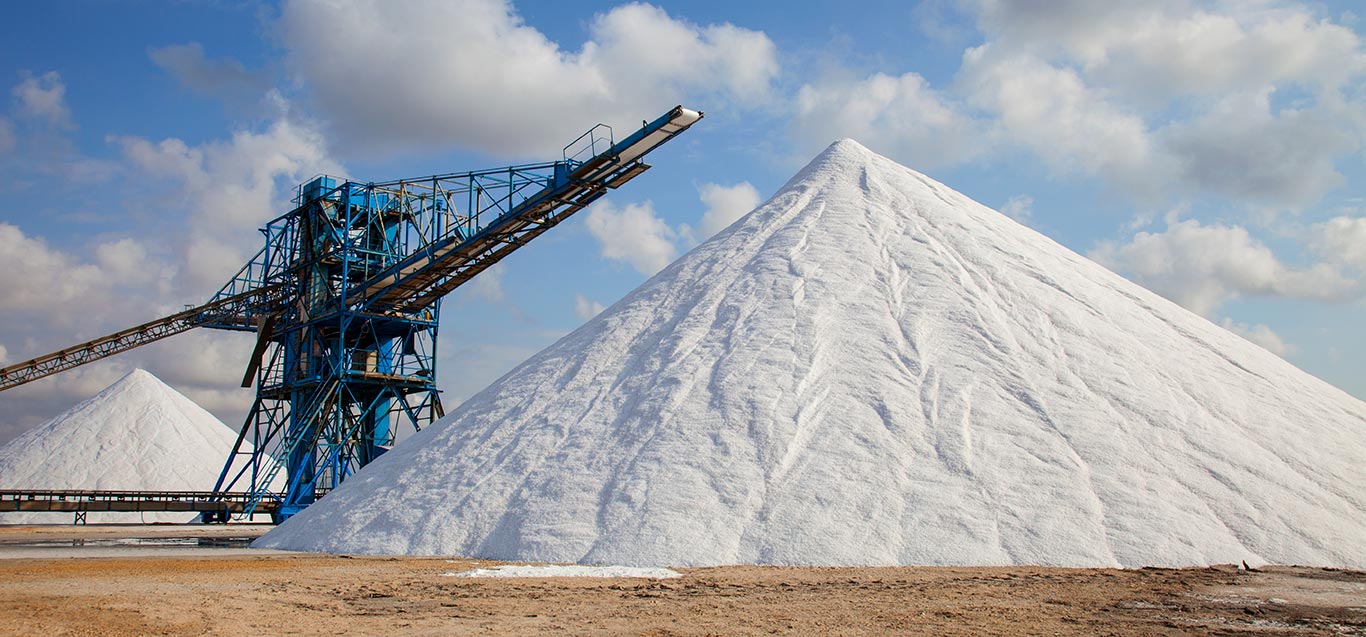 The Salt Store Michigan's Most Reliable Bulk Salt and Rock Salt Supplier