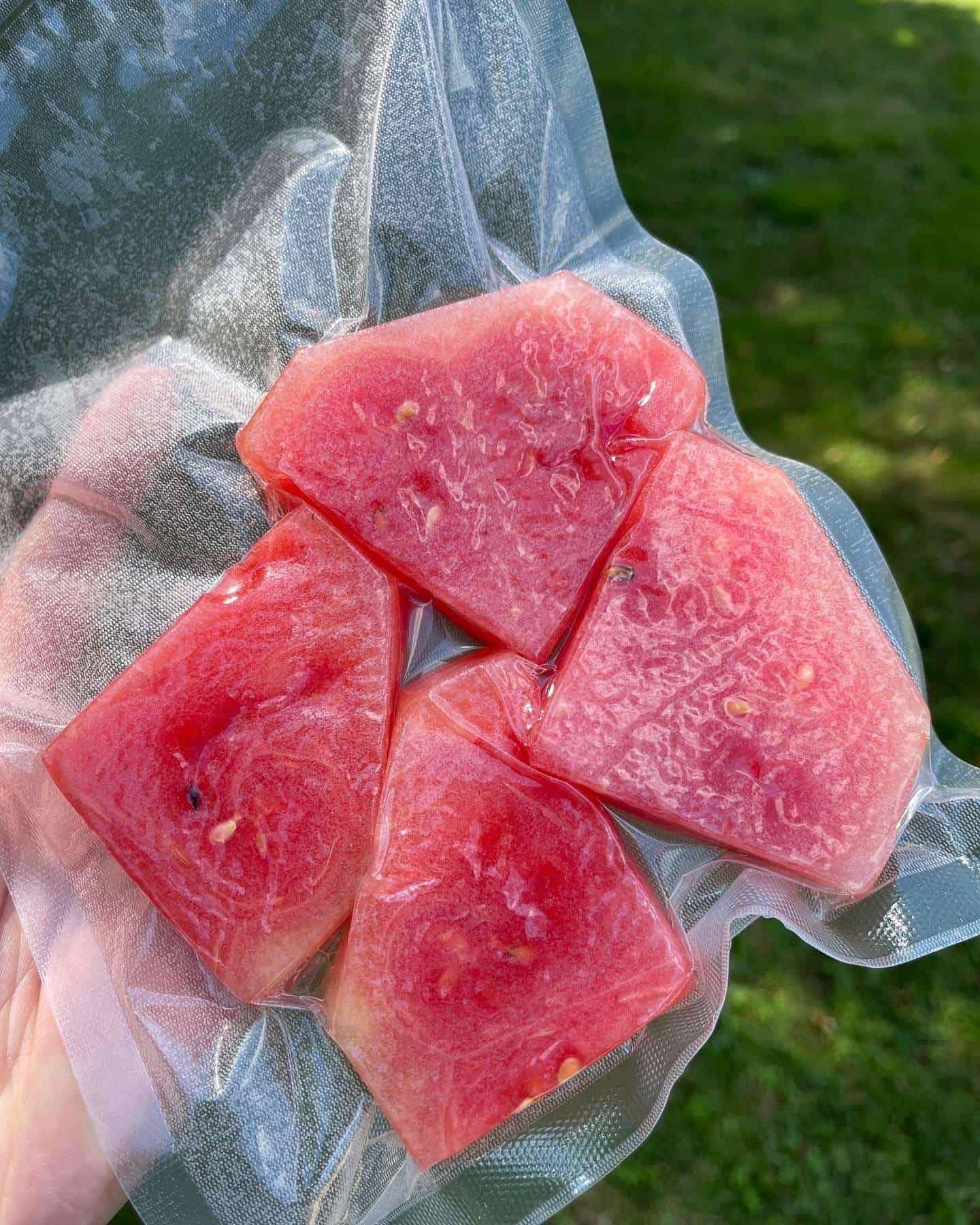 How To Make Compressed Watermelon Salt. Butter. Smoke.