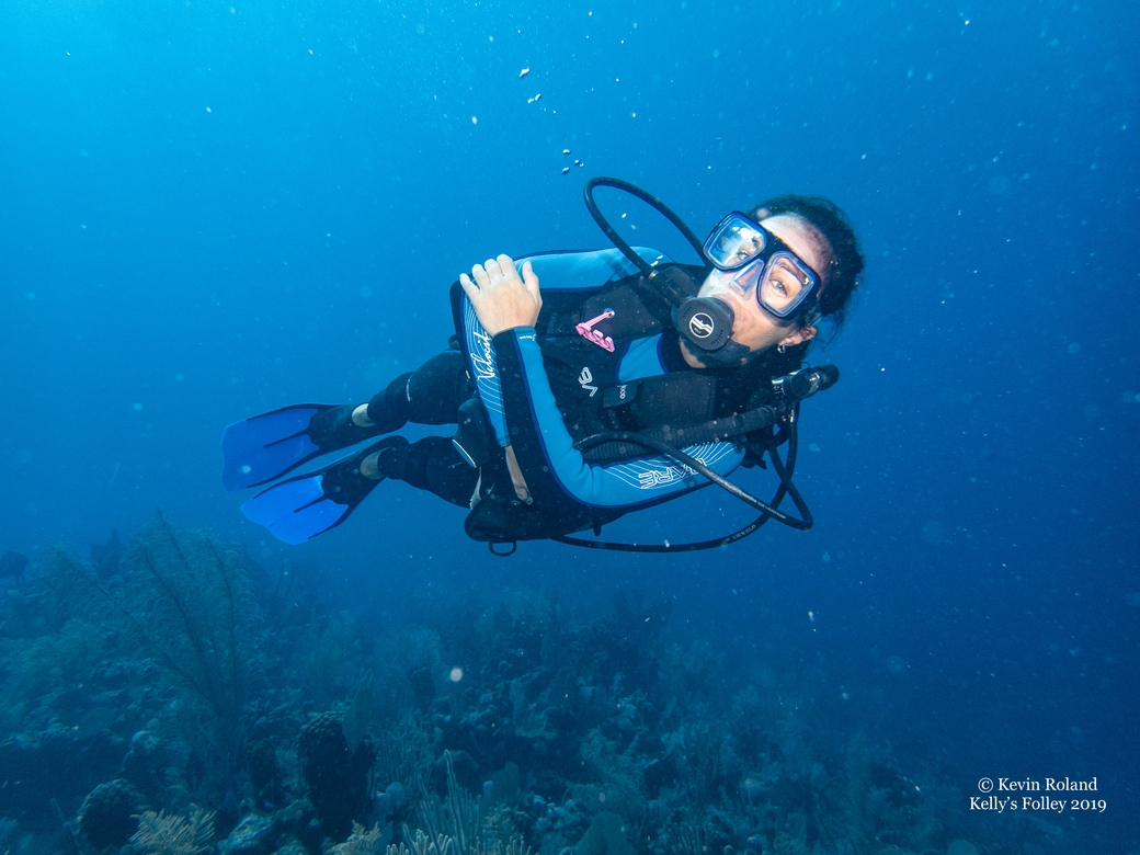 DIVING Salt Cay Divers