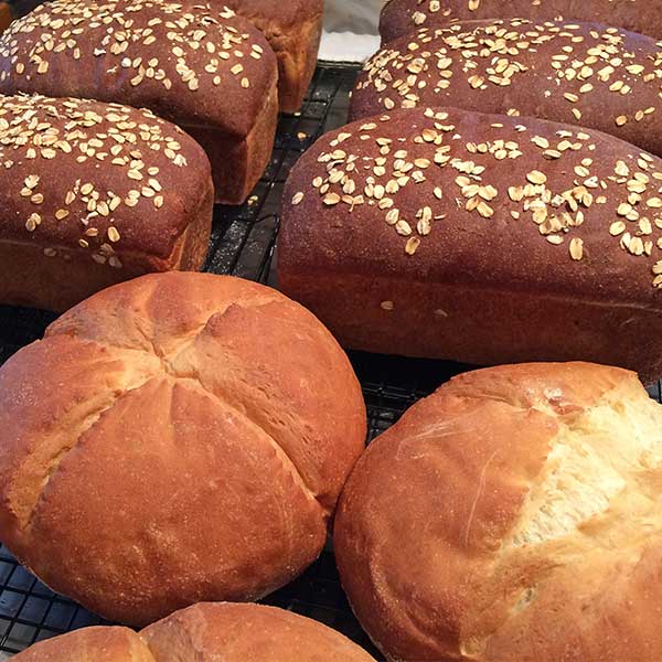 Salt Cod Cafe Located on Orrs Island, Maine (Homemade)