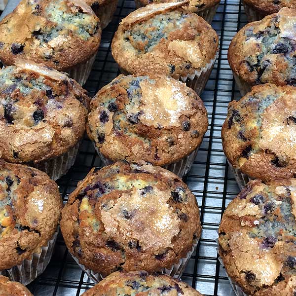 Salt Cod Cafe Located on Orrs Island, Maine (Homemade)