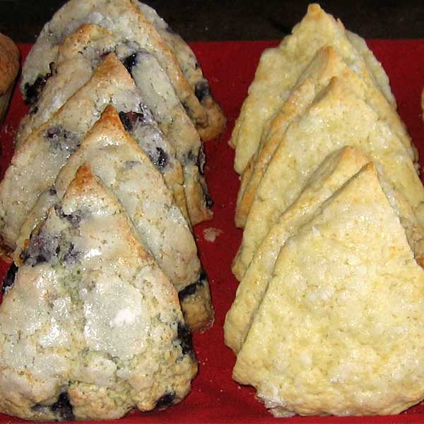 Salt Cod Cafe Located on Orrs Island, Maine (Homemade)