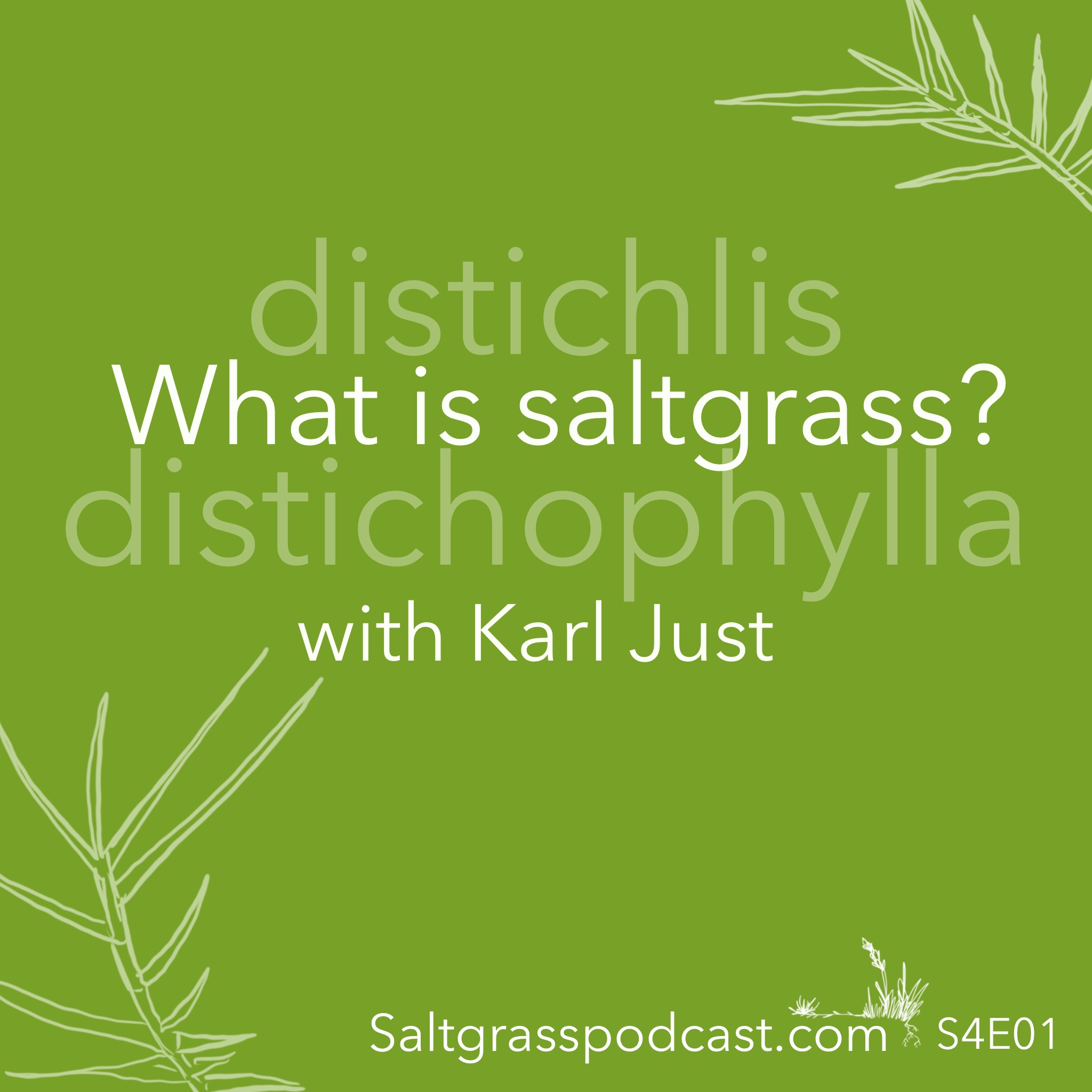 S4 E01 What is Saltgrass with Karl Just Saltgrass Podcast