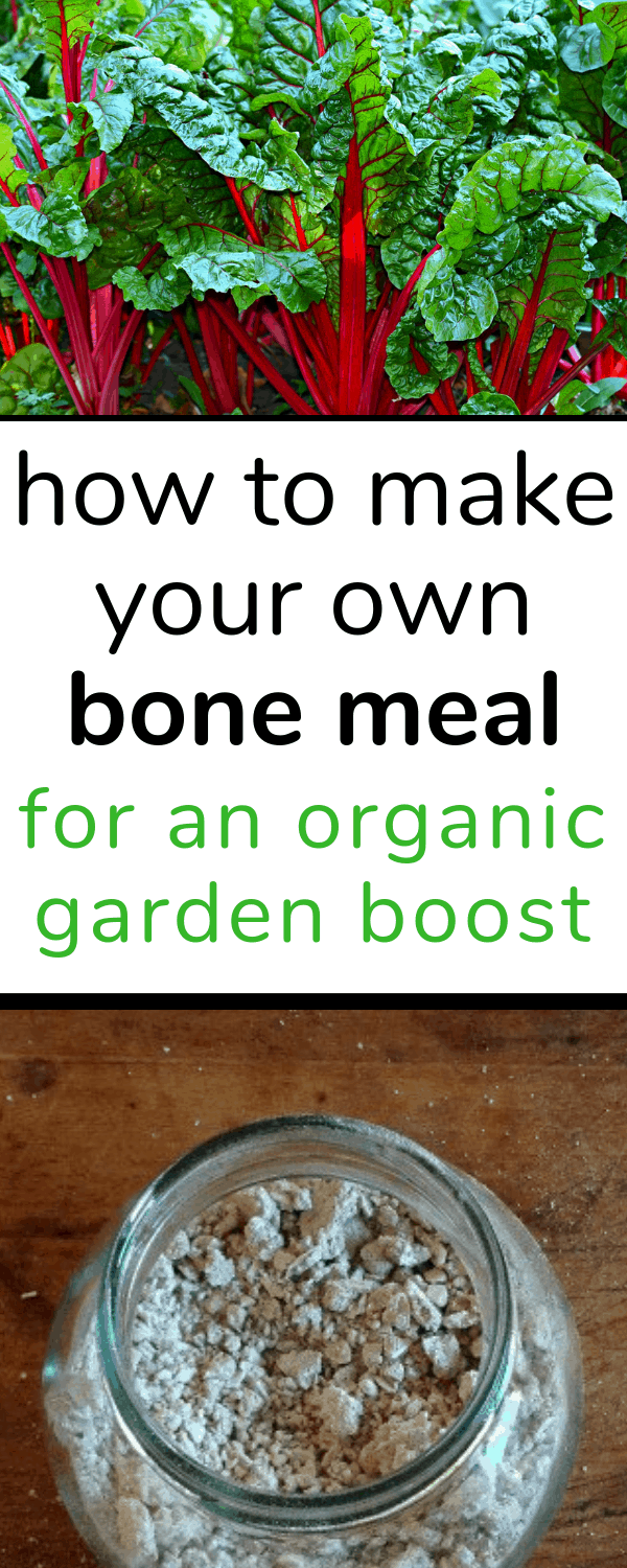 how-to-make-bone-meal-salt-in-my-coffee
