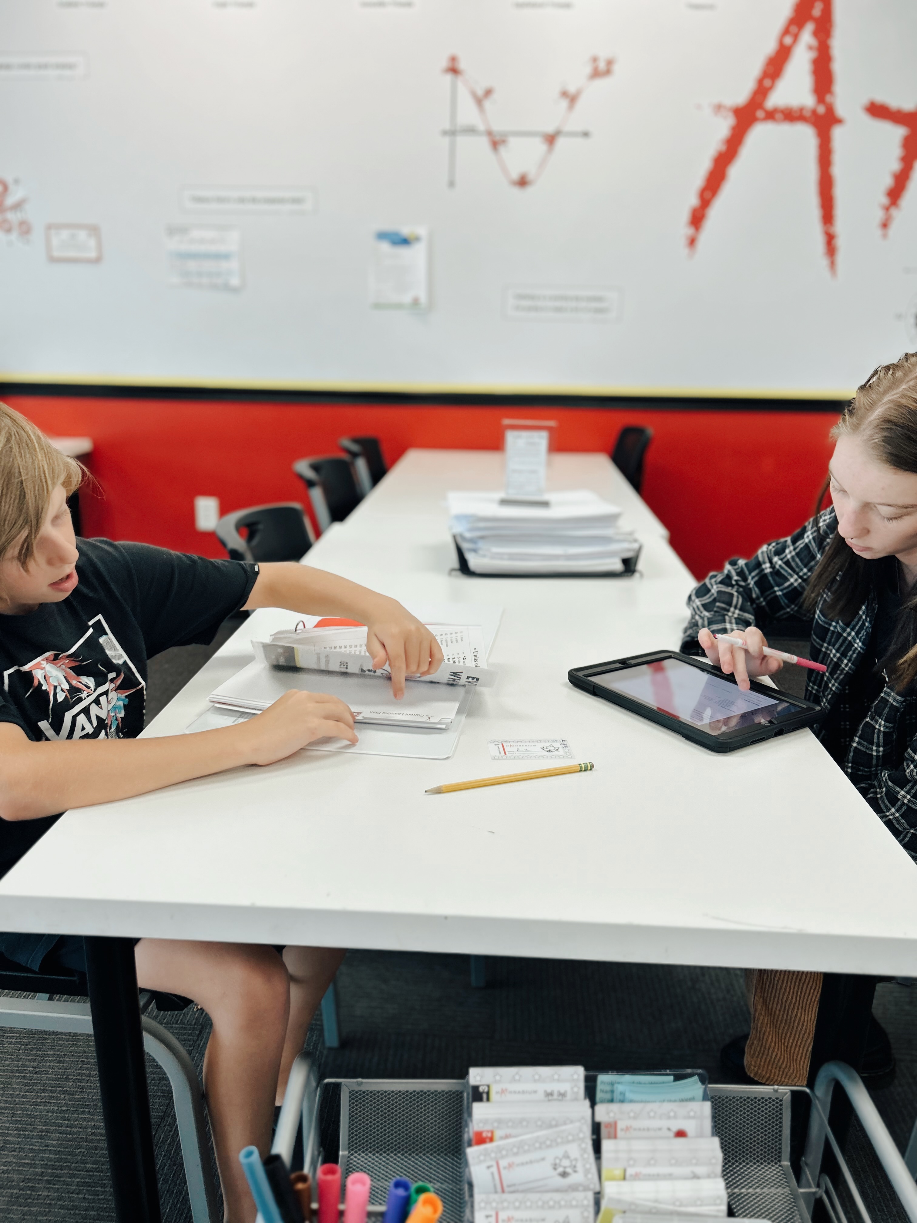 Mathnasium Review The Salt Project