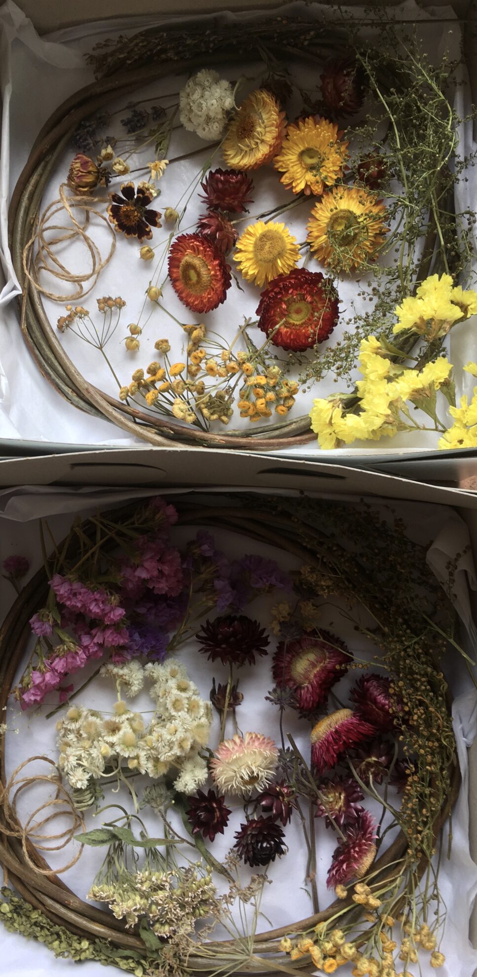 DIY Dried Flower Wreath Kits Salt Spring Flowers by Tali