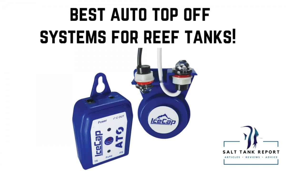 Best Auto Top Off Systems For Reef Tanks