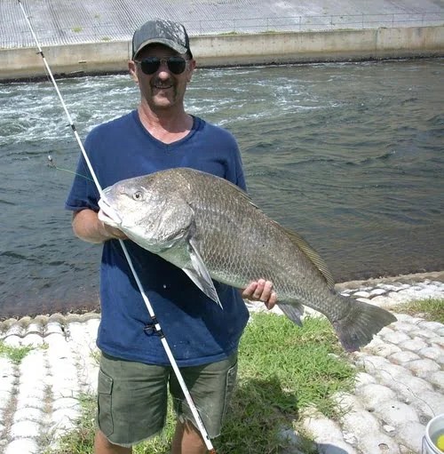 Are Black Drum Good To Eat? Do They Really Have Worms? • SaltwaterMecca