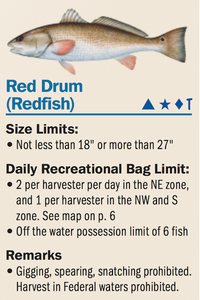 What Is The Biggest Redfish Caught? (By State)