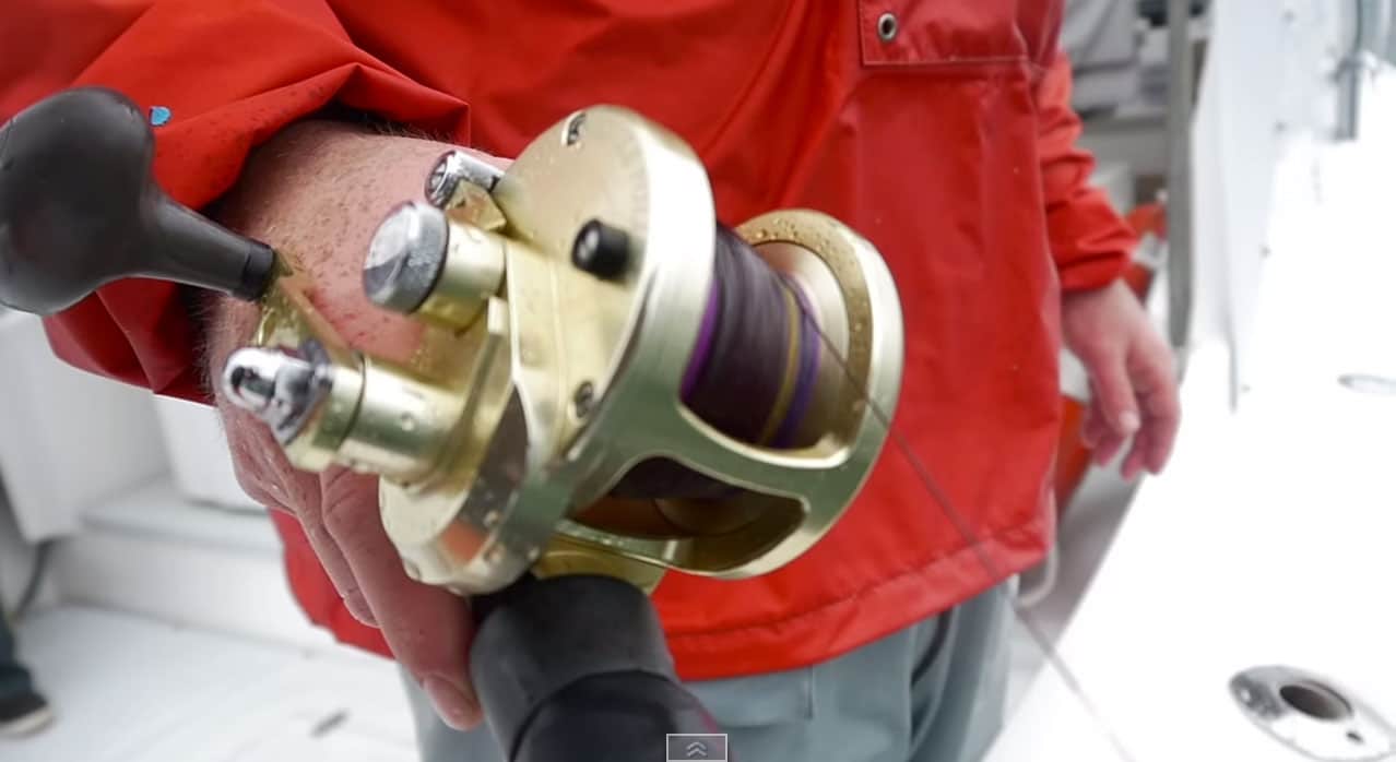 Best Lead Core Setup for Cape Cod Fishing Salty Cape