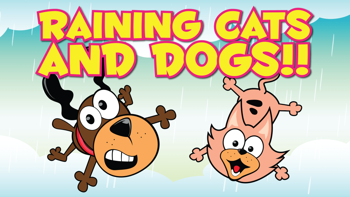 It’s Raining Cats and Dogs WPB 2/25 Salty Dog Paddle