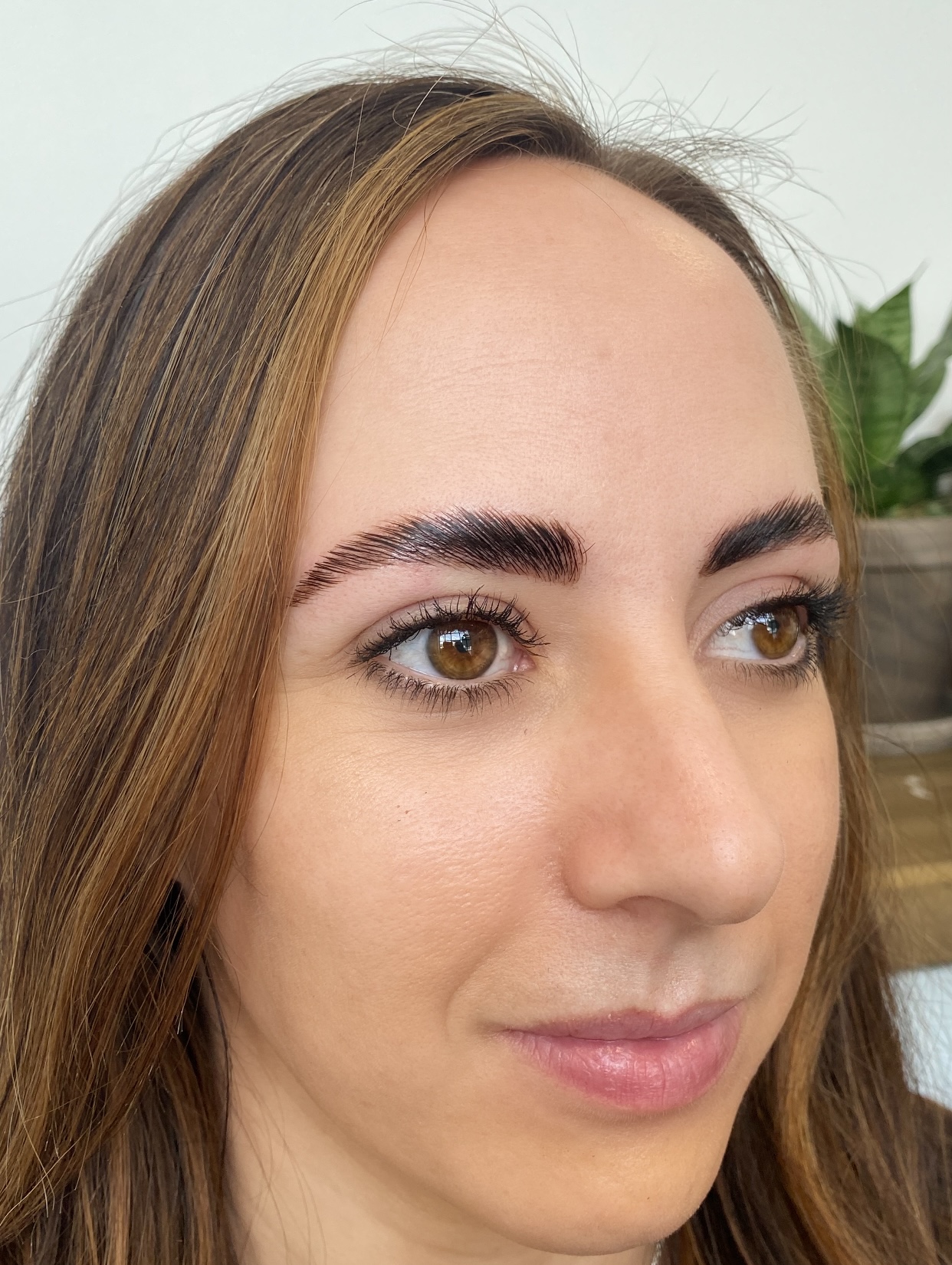 Brow Lamination Salty Lash & Brow