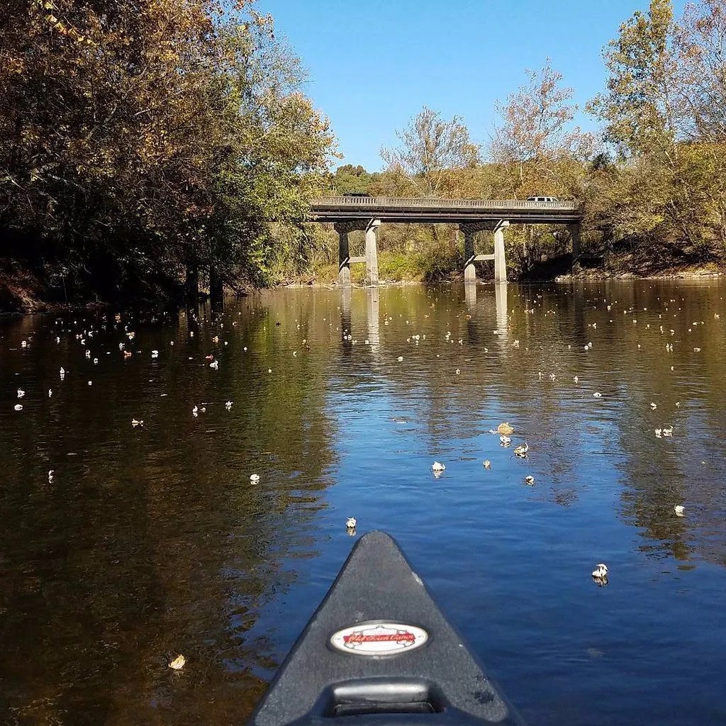 Kayaking on the French Broad River Asheville, NC