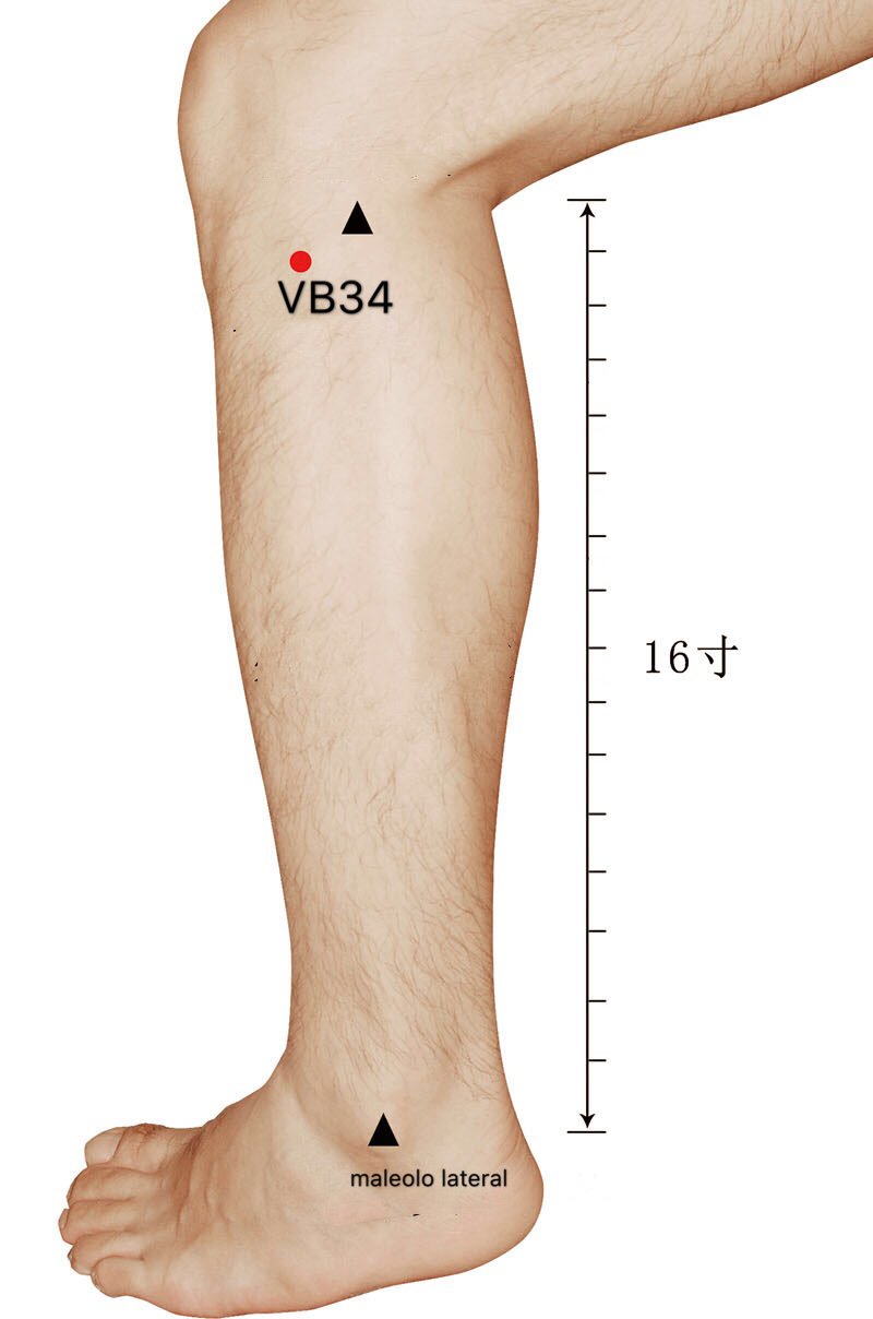 VB34 (Yanglingquan)