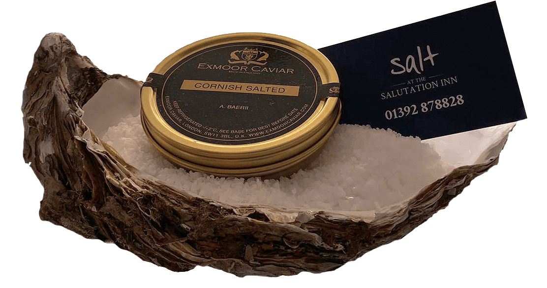 Salt Deli Fresh Fish Shop/Fishmonger and Deli in Topsham near Exeter