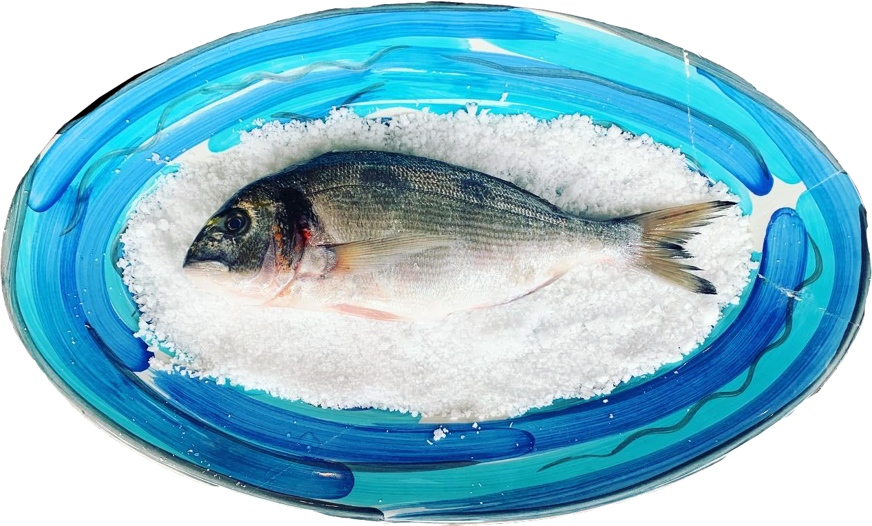 Salt Deli Fresh Fish Shop/Fishmonger and Deli in Topsham near Exeter