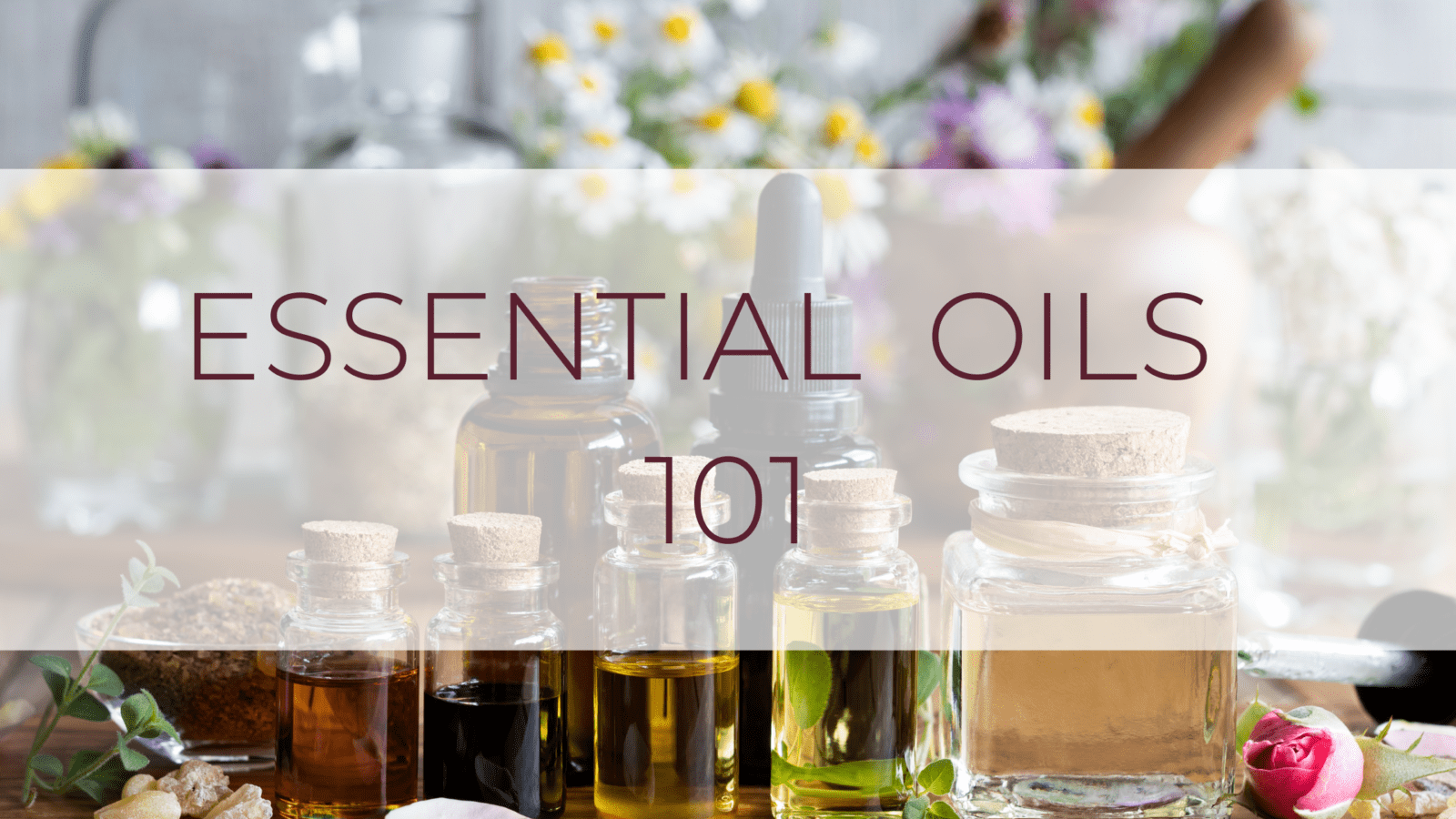 Essential Oils 101 Salvation Wellness