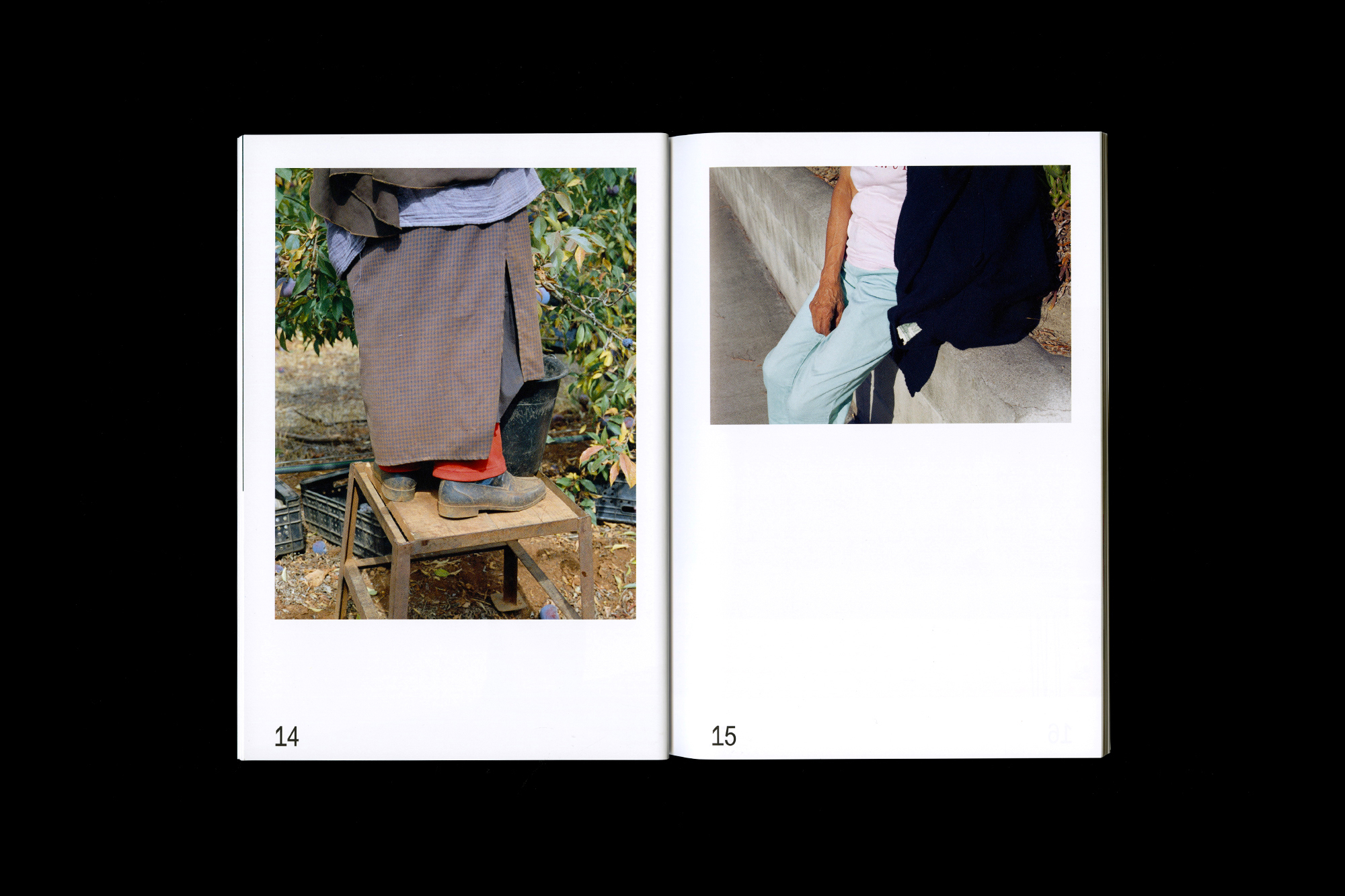 Sam Wood — World Series