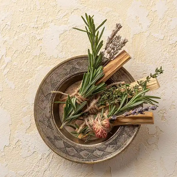 All About Rosemary for yoni steaming Sama Handcraft
