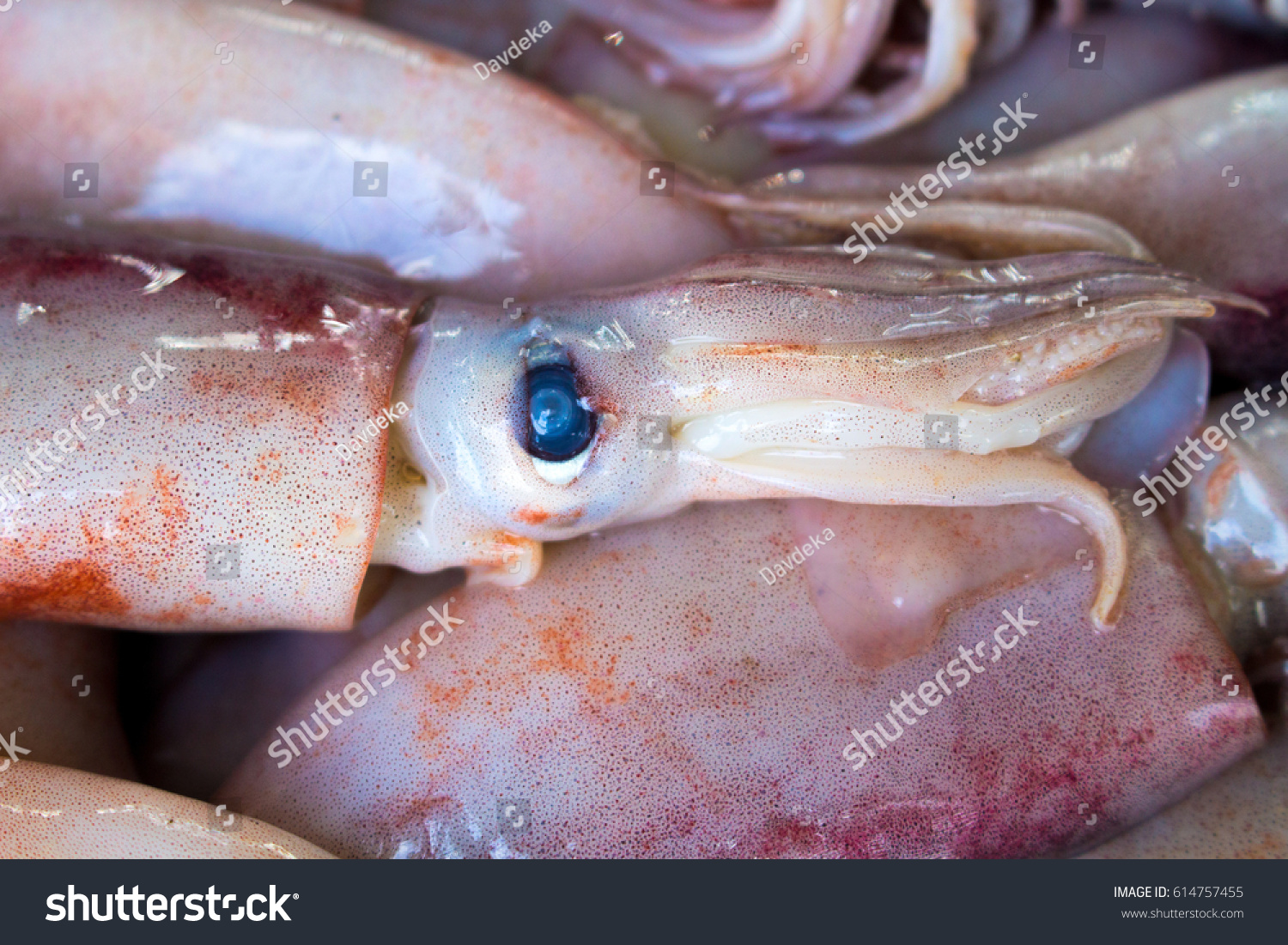 Products - SAMAK
