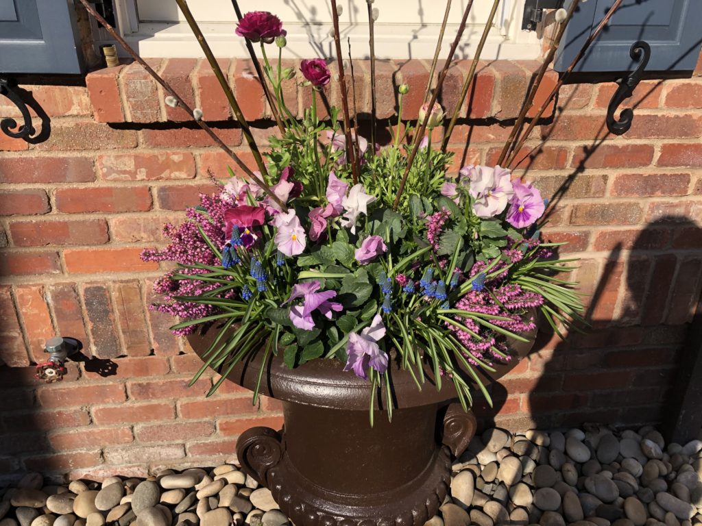 SEASONAL CONTAINERS Samantha's Gardens Garden Landscape Design