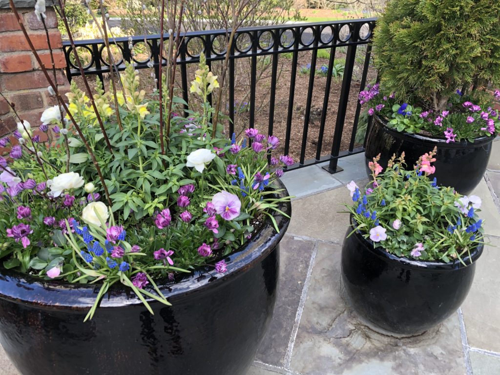 SEASONAL CONTAINERS Samantha's Gardens Garden Landscape Design