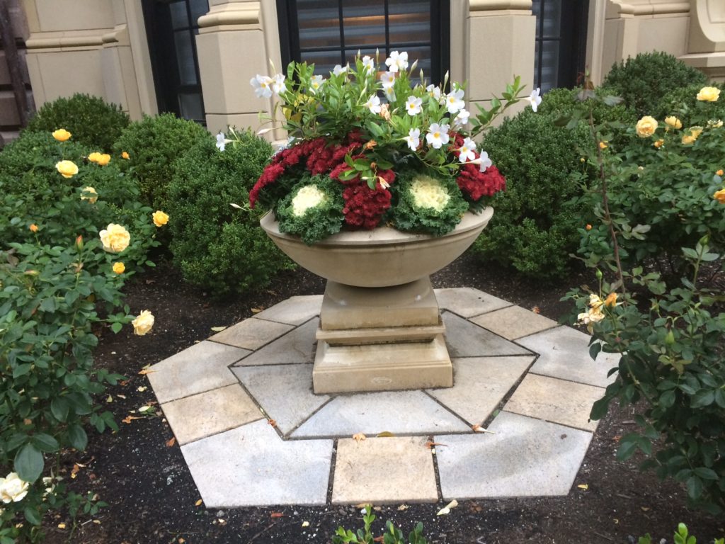 SEASONAL CONTAINERS Samantha's Gardens Garden Landscape Design