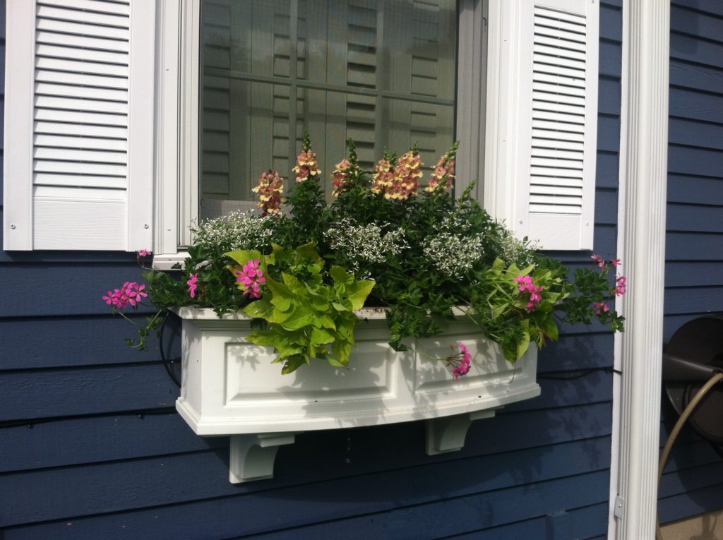 SEASONAL CONTAINERS Samantha's Gardens Garden Landscape Design