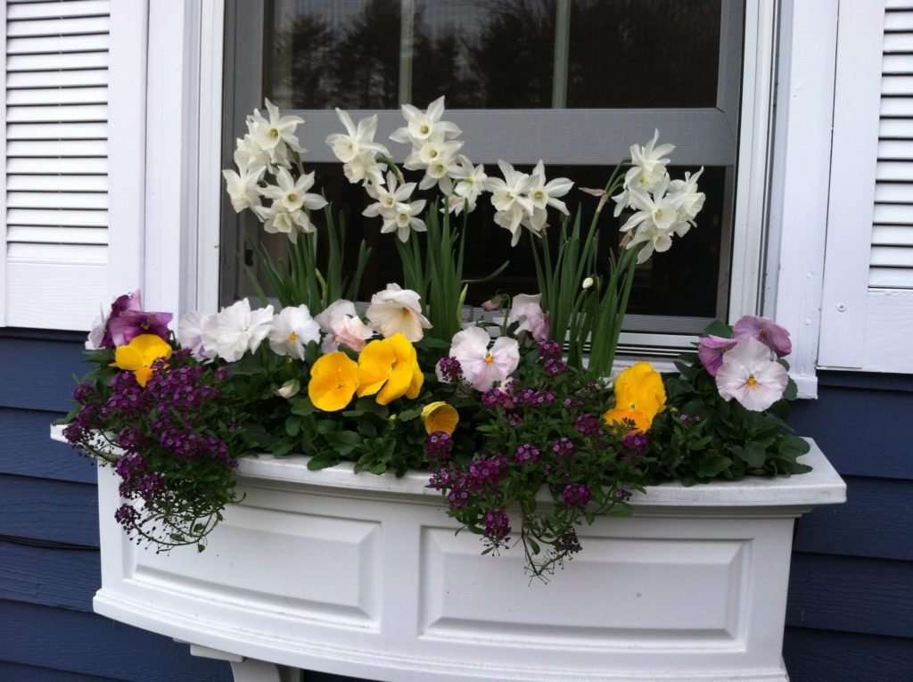 SEASONAL CONTAINERS Samantha's Gardens Garden Landscape Design