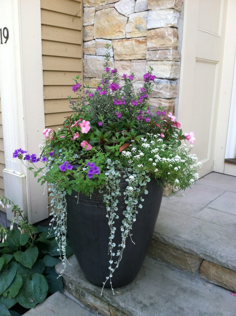 SEASONAL CONTAINERS Samantha's Gardens Garden Landscape Design