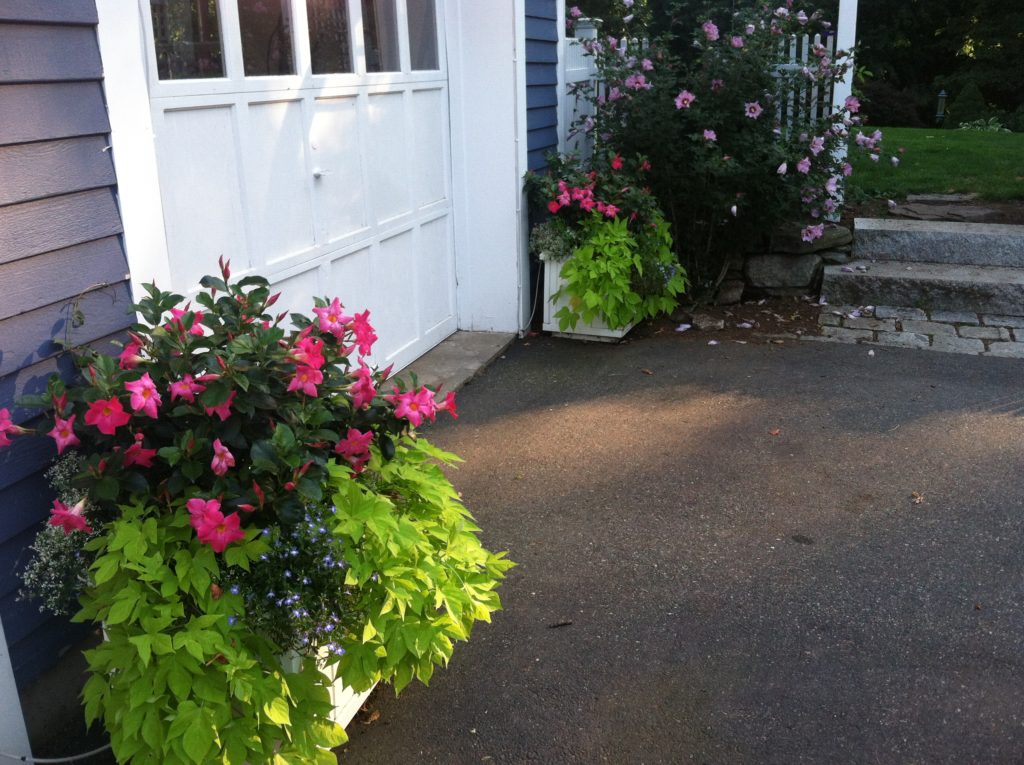 SEASONAL CONTAINERS Samantha's Gardens Garden Landscape Design