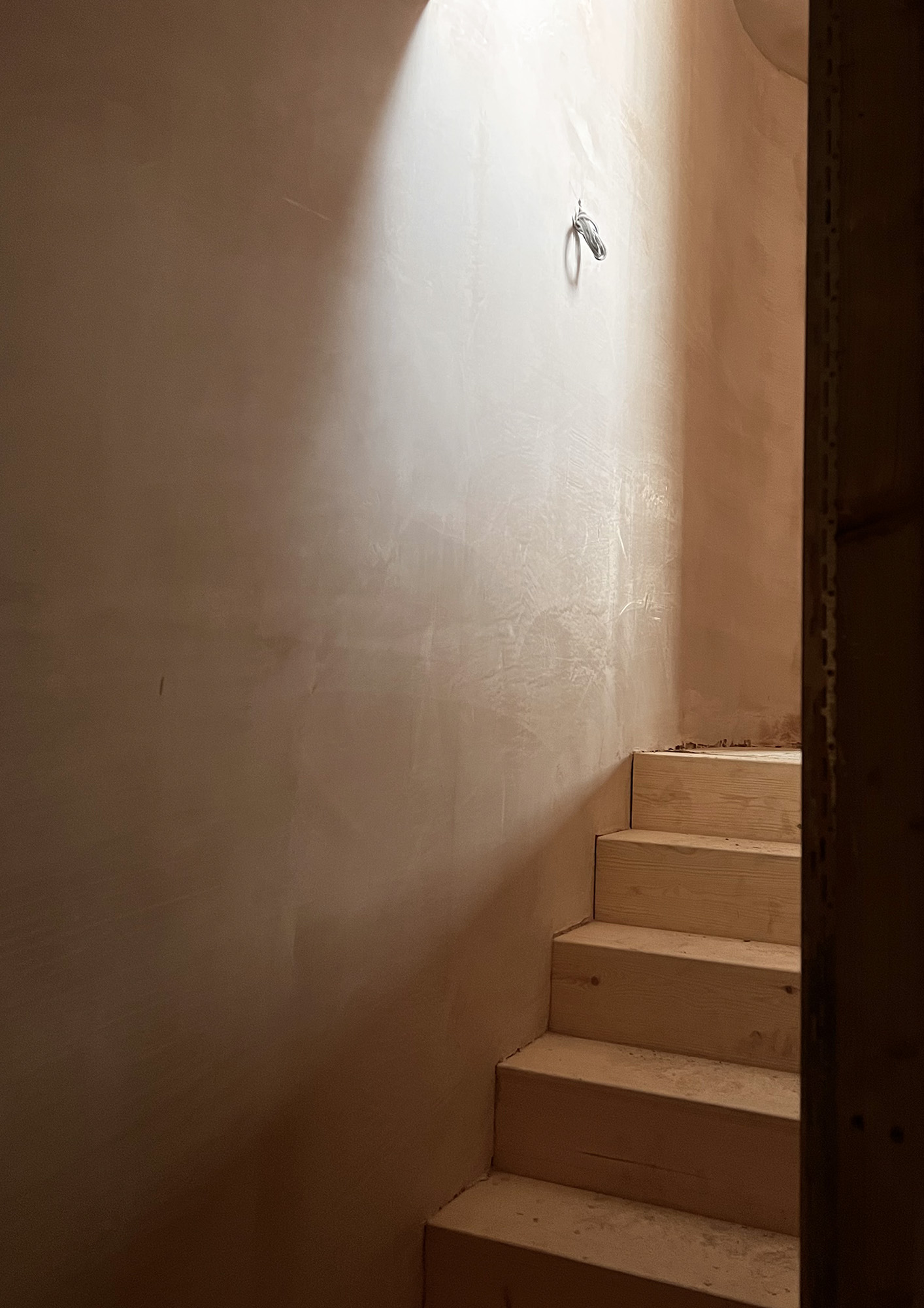 Waveney Avenue SAM Architects