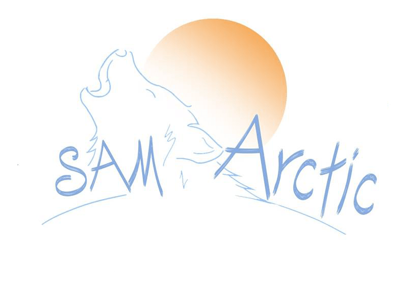 Sam Arctic Séjours en Laponie. Traîneau à chiens.