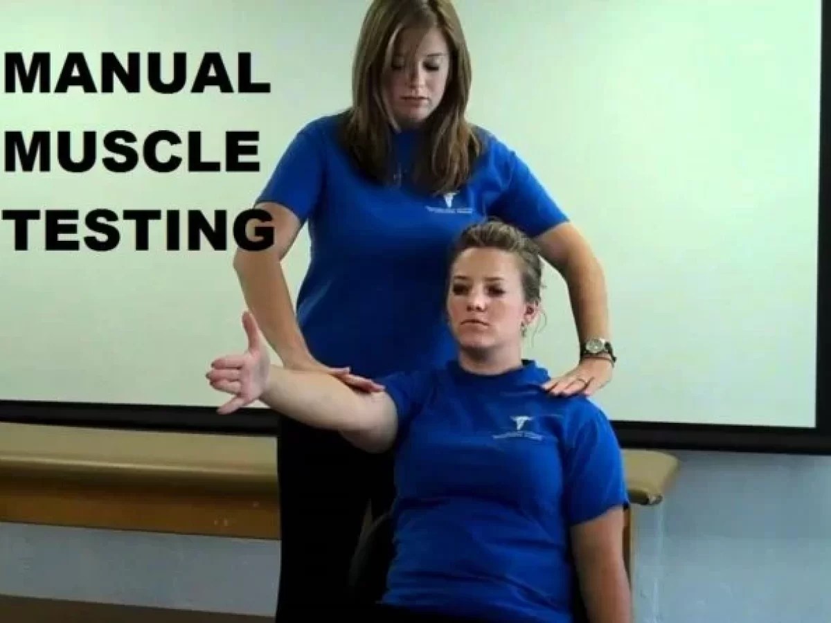 Manual Muscle Testing Grading Scale For MMT MMT Examining, 56 OFF