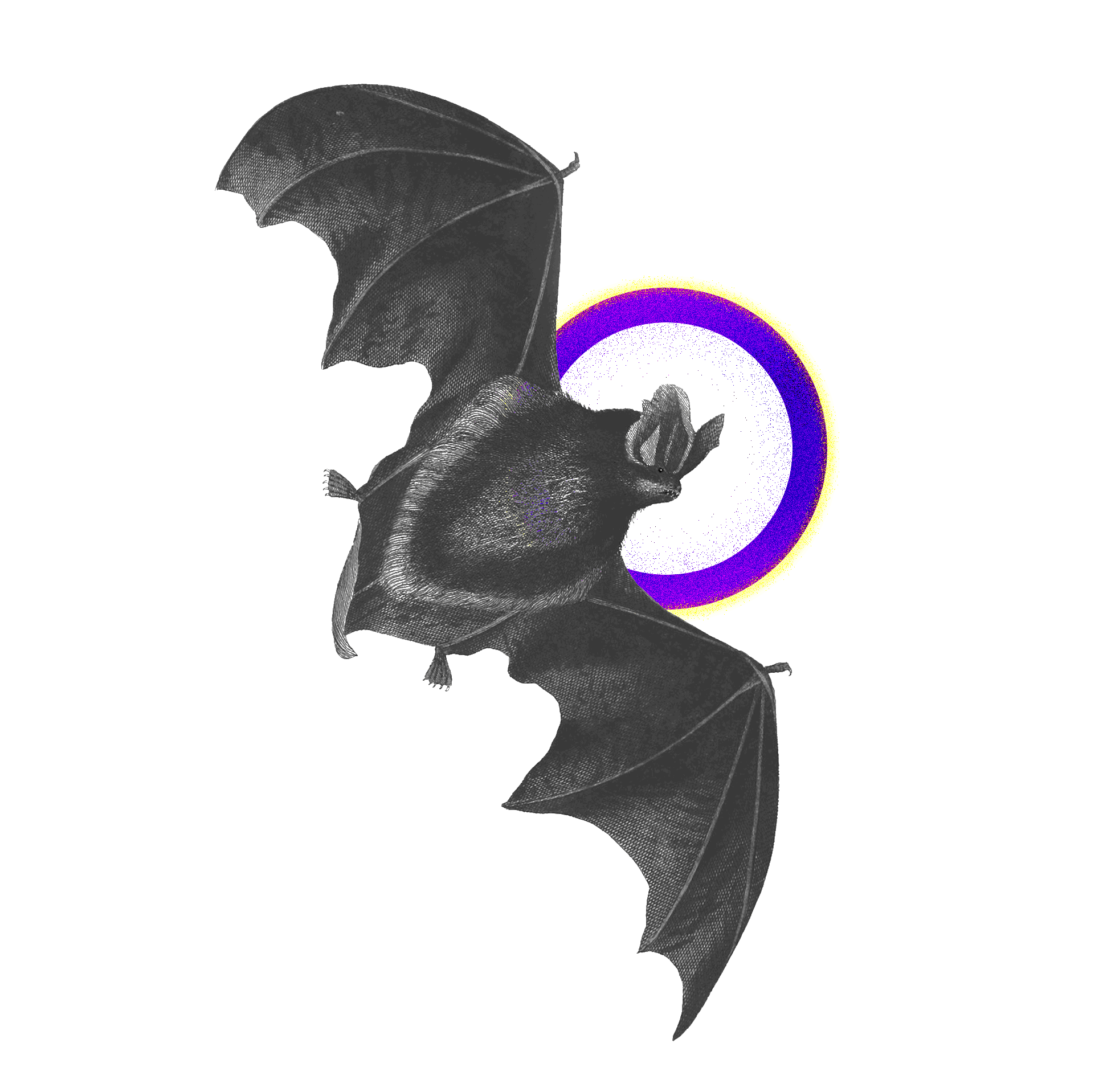 Where is Our Place in the Animal Kingdom?