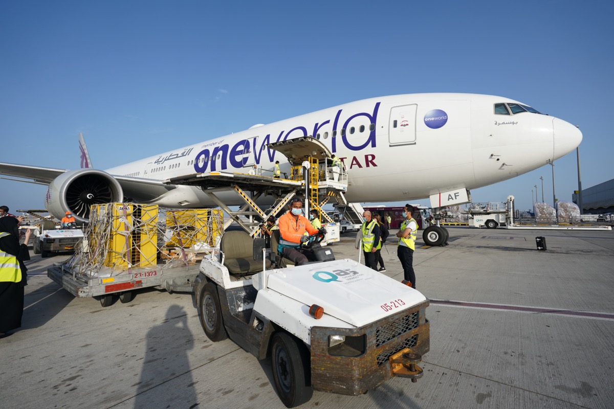 From Captivity To Freedom Flying 7 Lions on Qatar