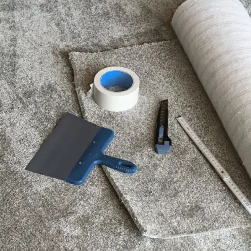 Professional Carpet Cleaning Brighton Expert Carpet Cleaners