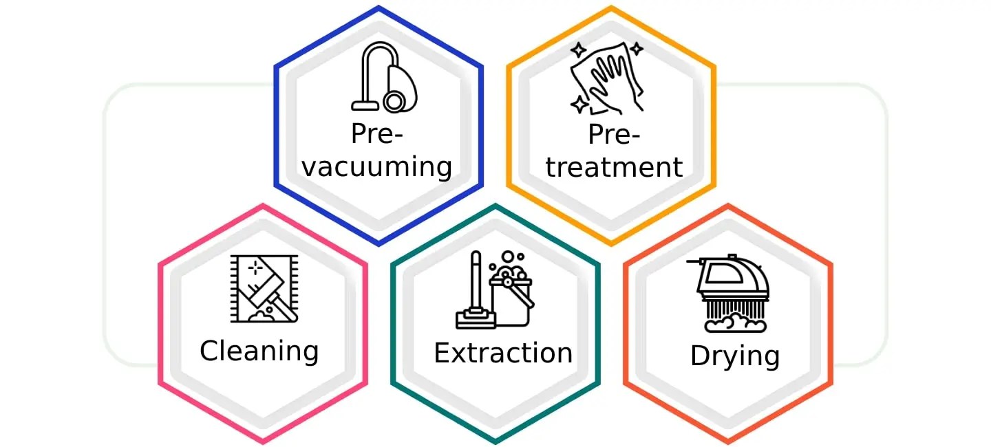 Professional Carpet Cleaning Brighton Expert Carpet Cleaners