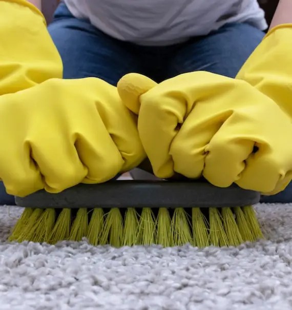 Carpet Cleaning Clifton Hill 0399968129 Professional Carpet