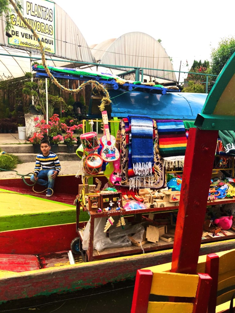 AirBnBcurated experience in Xochimilco, Mexico Same Footprints