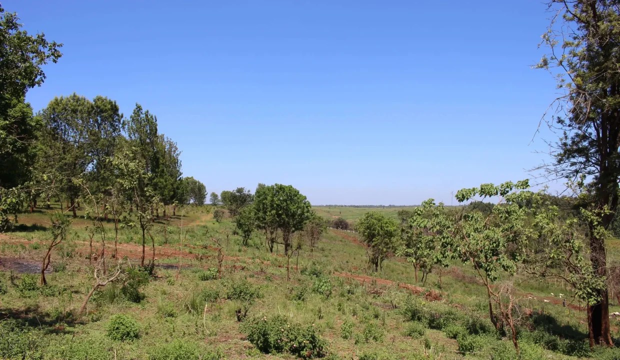 Buying Land In Kenya Sameg Management