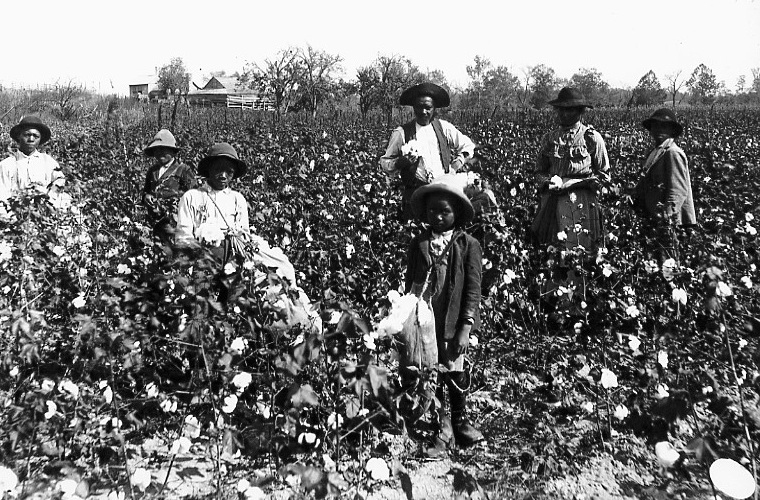 Rise of the cotton industry, 1793 / SamePassage