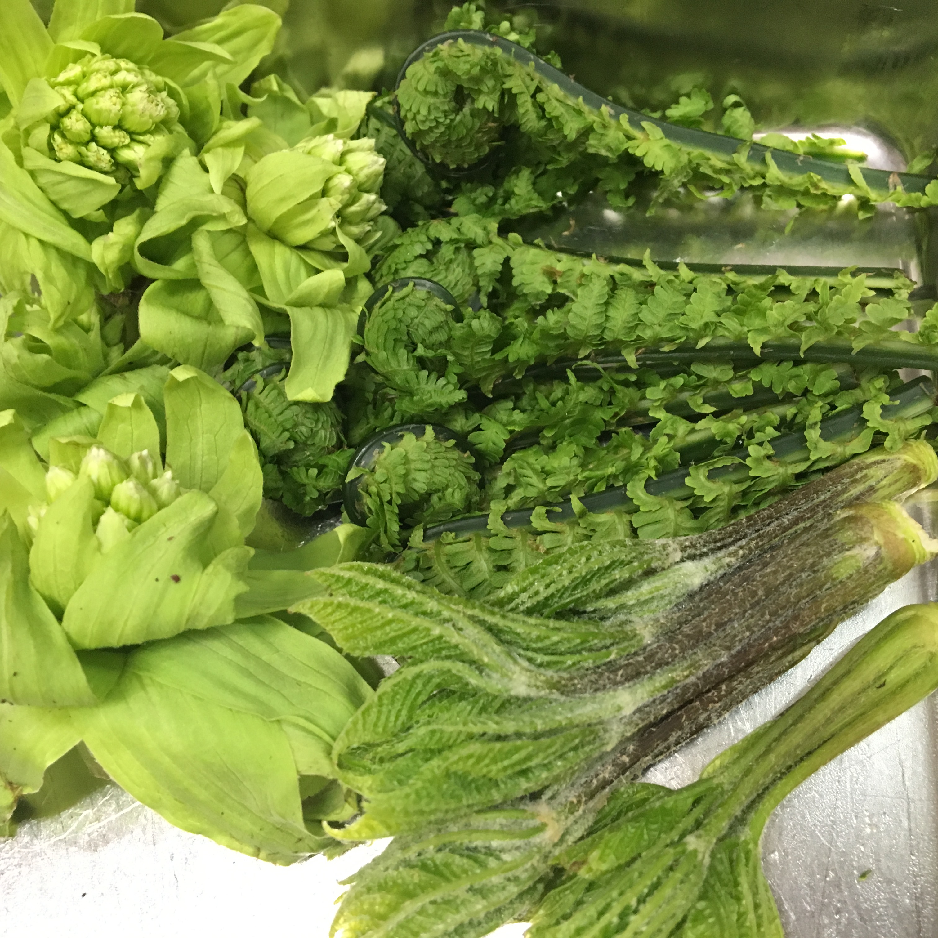 ★味よし「やっぱり、地元山形の山菜は、最高ですね♪」：和膳 味よし｜川西町のランチ・和食料理店～置賜（米沢・川西・長井・飯豊）の飲み会・歓送迎