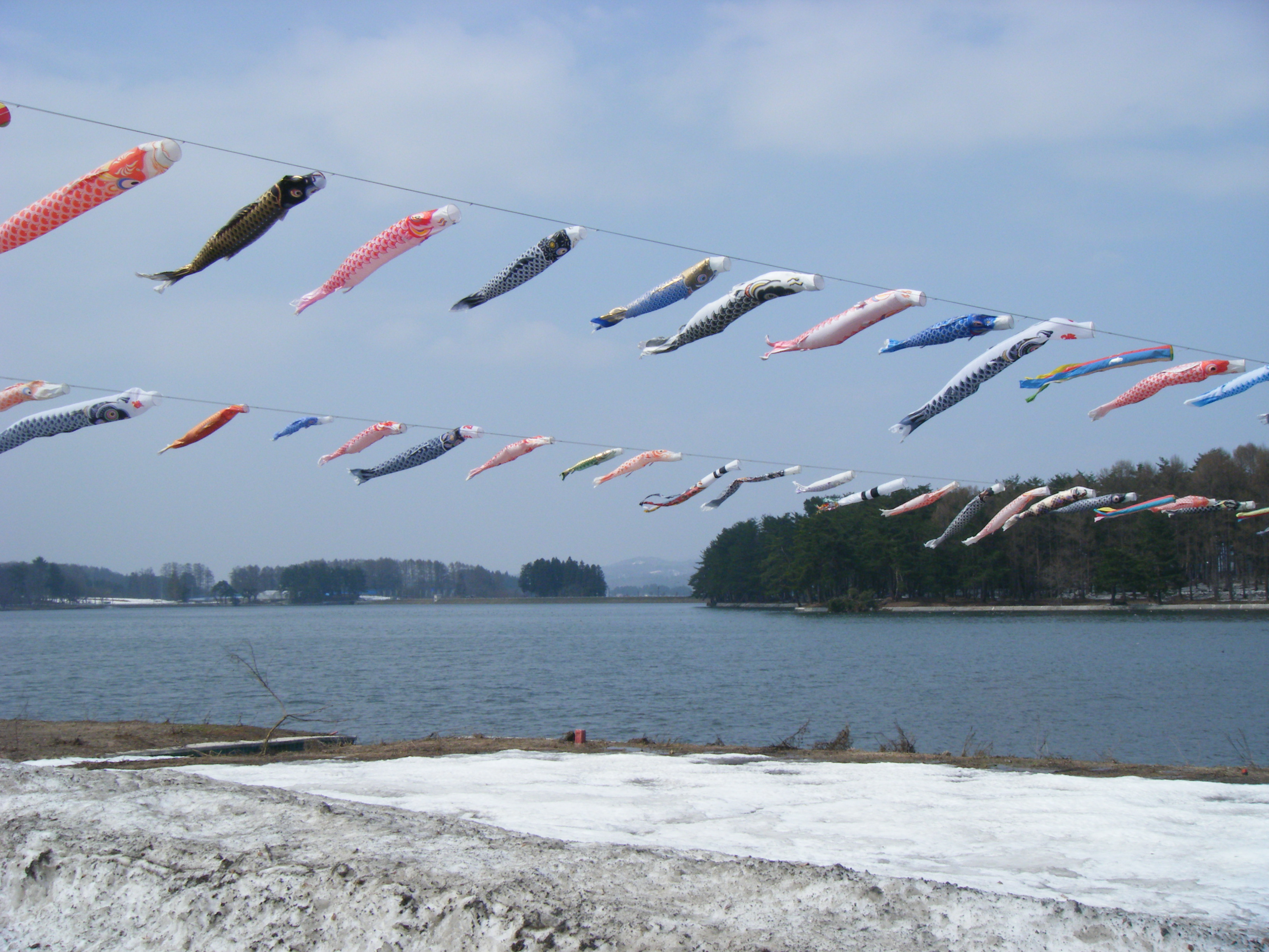 尾花沢市の徳良湖に大量の鯉のぼり：やまがたへの旅/みんなでつくる観光情報コミュニティサイト