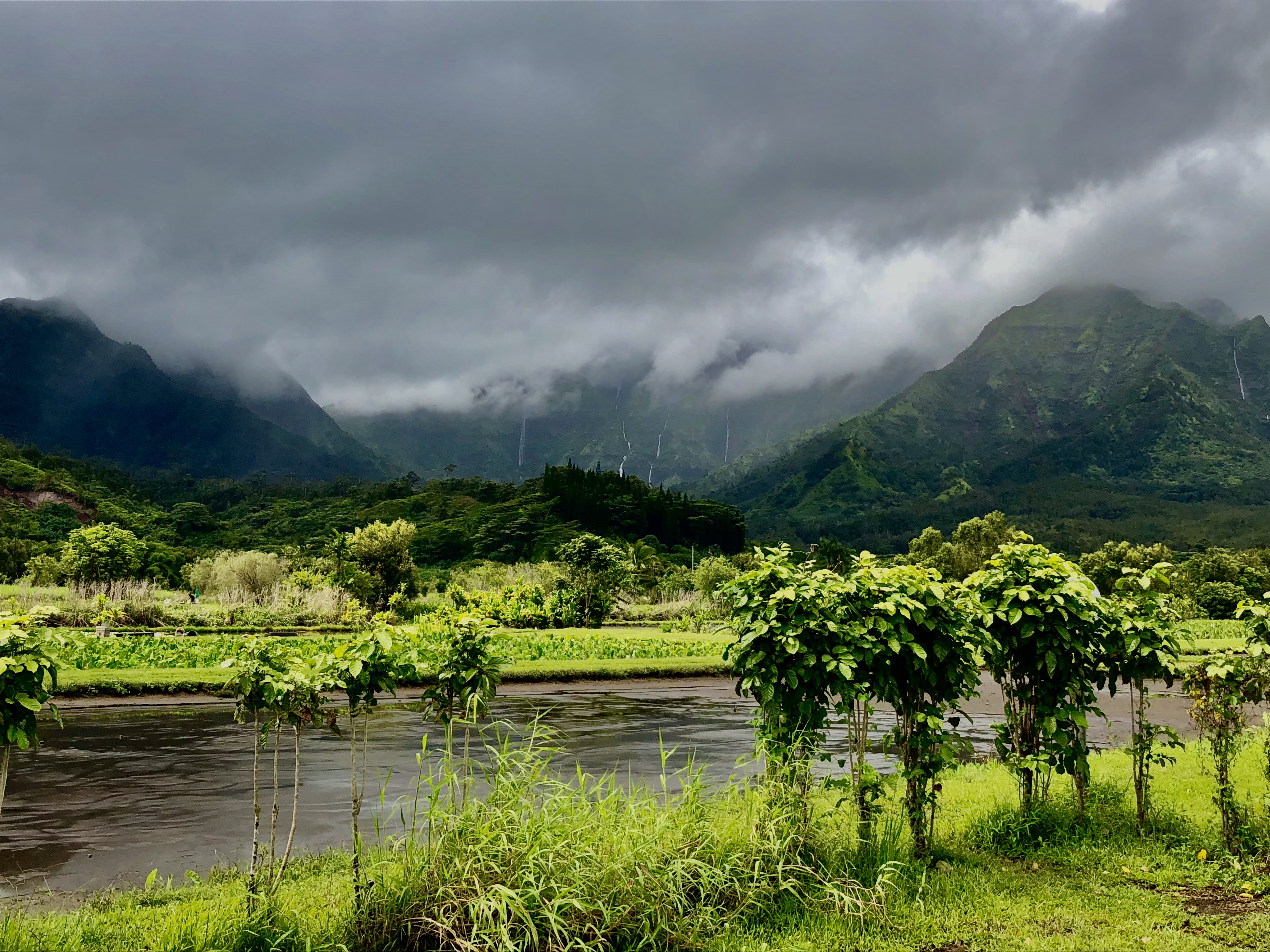Landscapes of Kauai A Photo Gallery Sami J. Godlove Photography and