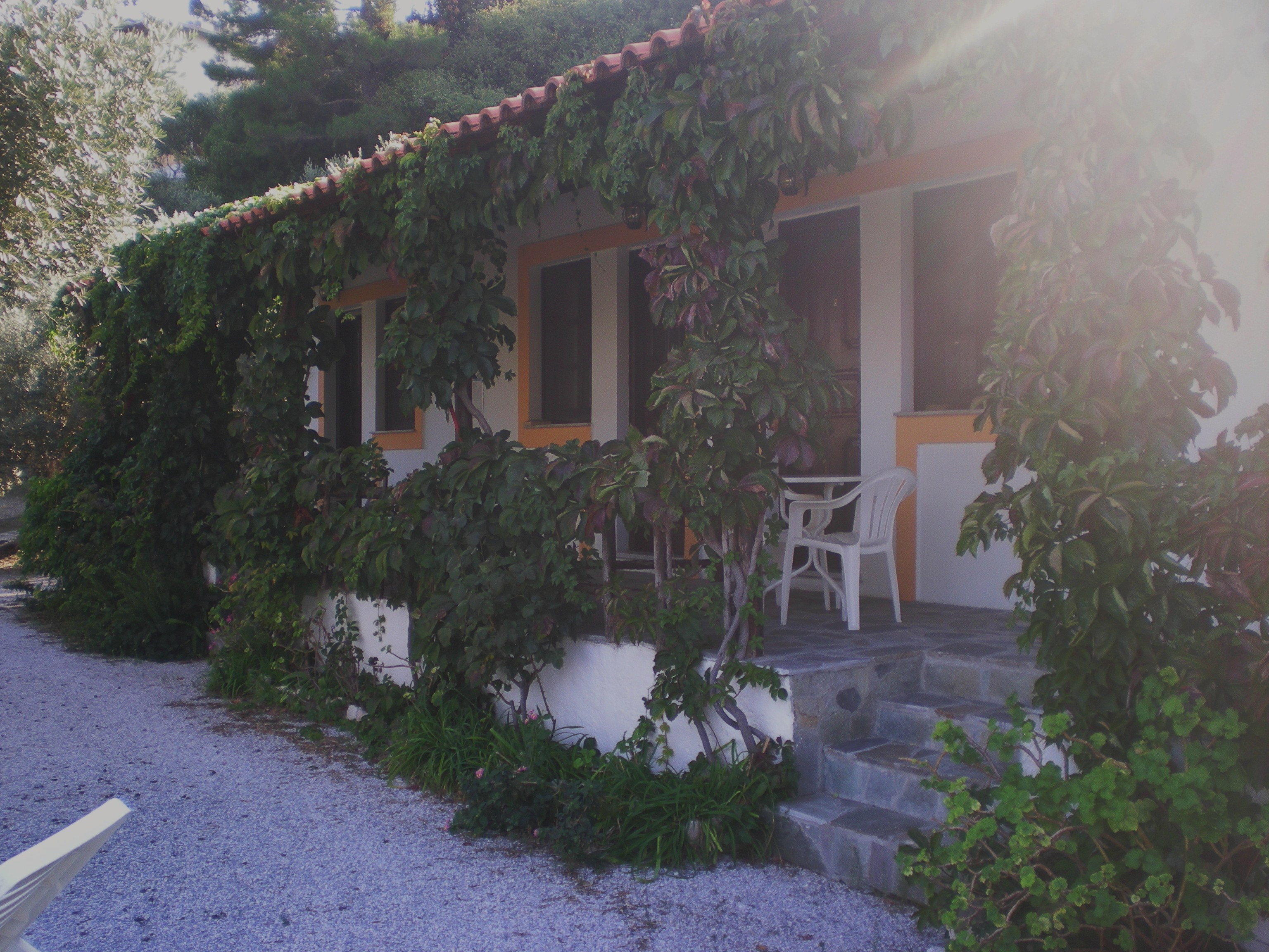 Samos Apartments Gregory Kokkari Samos Island Greece Photos