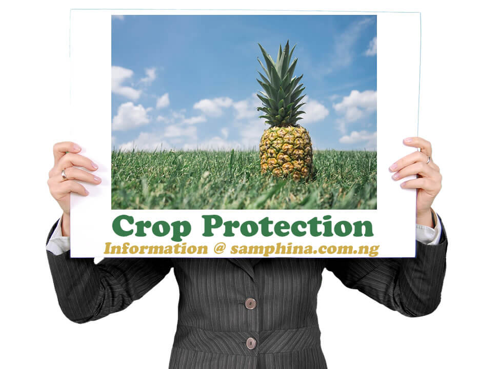 JAMB Subject Combination / Requirements for Crop Protection